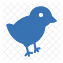 Chick Easter Doodle Icon