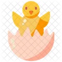 Chick  Icon