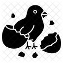 Chick Chicken Egg Icon