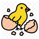 Chick  Icon