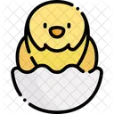 Chick  Icon