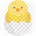 Chick Bird Egg Shell Icon