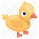 Chick  Icon