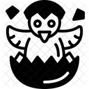 Chick Chicken Hatch Icon