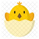 Chick  Icon