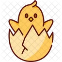 Chick In Egg Chick Spring Icon
