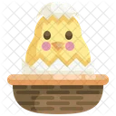 Chick In Egg  Icon