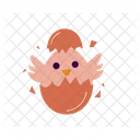 Chick Out Of Egg  Icon