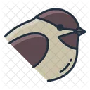 Chickadee  Icon
