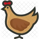 Chicken Hen Poultry Icon