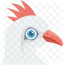 Chicken  Icon