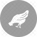 Chicken Animal Wildlife Icon