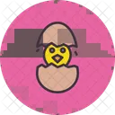 Chicken Chickling Easter Icon