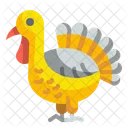 Chicken Fauna Turkey Icon