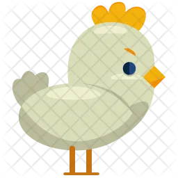 Chicken  Icon