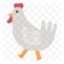 Chicken Meat Animal Icon