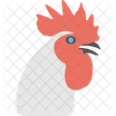 White Rooster Cockerel Icon