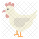 Chicken Hen Pet Icon