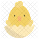 Chicken  Icon