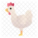 Chicken  Symbol