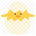 Chicken Hatching Icon