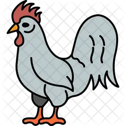 Chicken  Icon