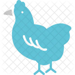 Chicken  Icon