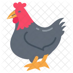 Chicken  Icon