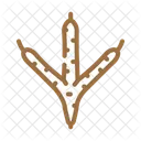 Chicken Footprint  Icon