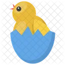 Chicken Hatching Poultry Easter Chick Icon