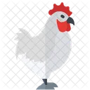 Chicken Poultry Hen Icône