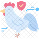 Chicken Animals Bird Icon