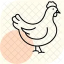 Chicken Bird Farm Icon
