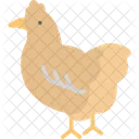 Chicken  Icon