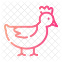 Animals Chicken Wildlife Icon