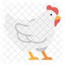 Chicken  Icon