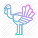 Chicken  Icon