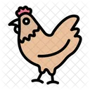 Chicken  Icon