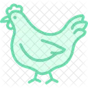 Chicken in organic farm  Icon