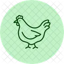 Chicken In Organic Farm Chicken Organic Icon