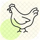 Chicken In Organic Farm Chicken Organic Icon