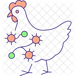Chicken infected by bacterial disease  Icon