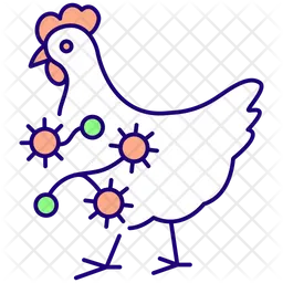 Chicken infected by bacterial disease  Icon