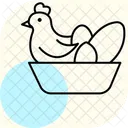 Chicken Nest Box Chicken Nest Icon