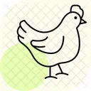 Chicken Pecking Chicken Pecking Icon