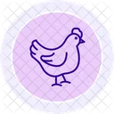 Chicken Pecking Chicken Pecking Icon