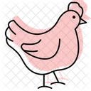 Chicken Pecking Chicken Pecking Icon