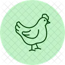 Chicken Pecking Chicken Pecking Icon