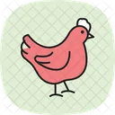 Chicken Pecking Chicken Pecking Icon