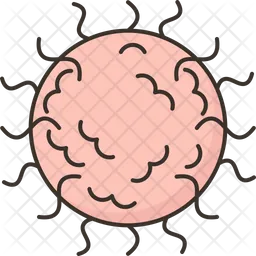 Chickenpox  Icon